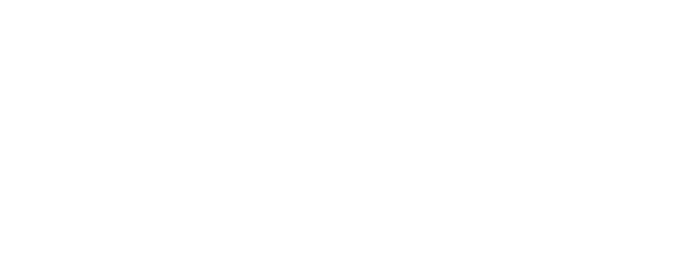 figr logo